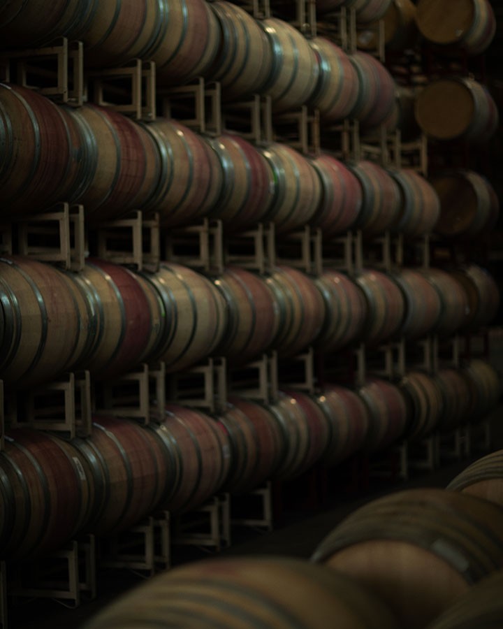 Barrel aging red wine in the cellar