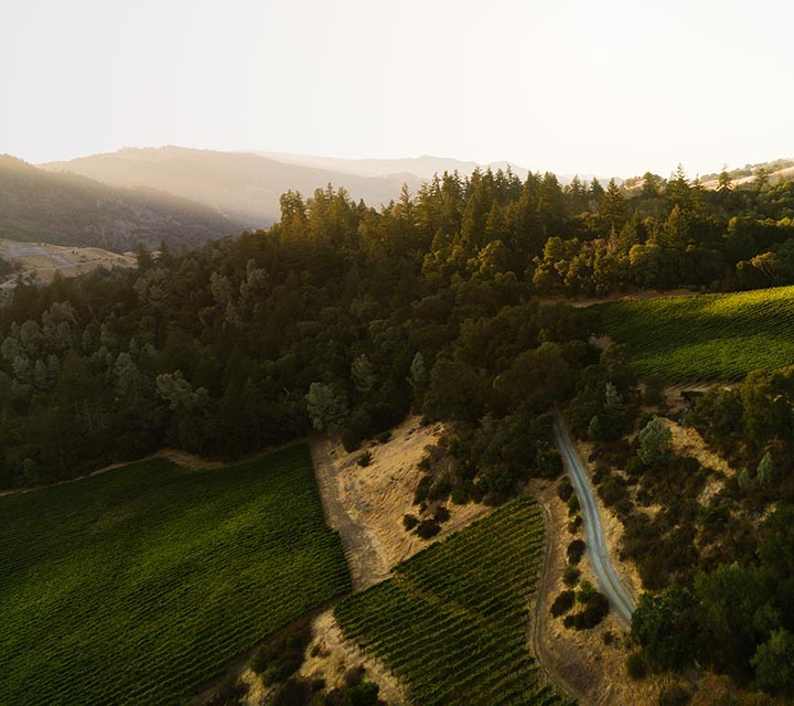 Ridgeline vineyard drone photo in Sonoma County