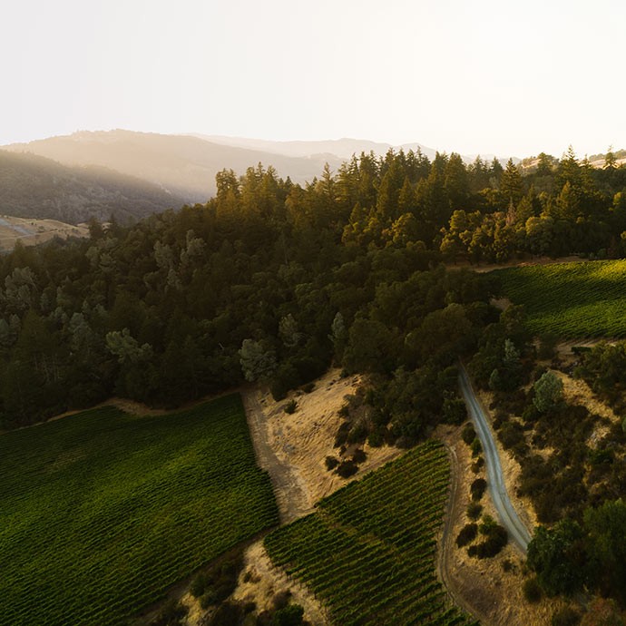 Ridgeline Vineyard in Sonoma County